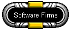 Software Firms