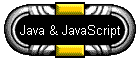 Java & JavaScript